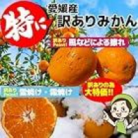 特に訳ありみかん10kg(+約0.5kg多め)訳あり 不揃い 傷 汚れ有 愛媛県産 フルーツ 美味しいみかん 果物 くだもの 温州みかん 柑橘類が激安特価のイメージ